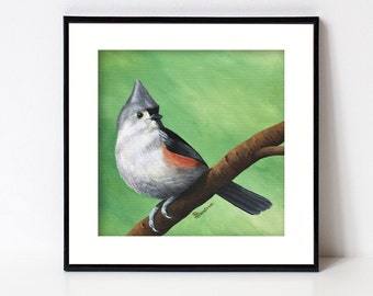 Tufted Titmouse Print, Bird Art, Fine Art Giclee, Square Artwork for Farmhouse Decor, Forest Animal, Birds, Songbird