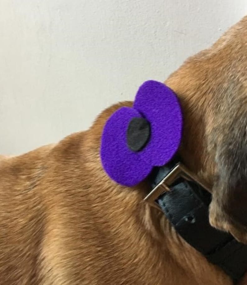 Purple Poppy Charm for Dog's Collars/leads or Etsy