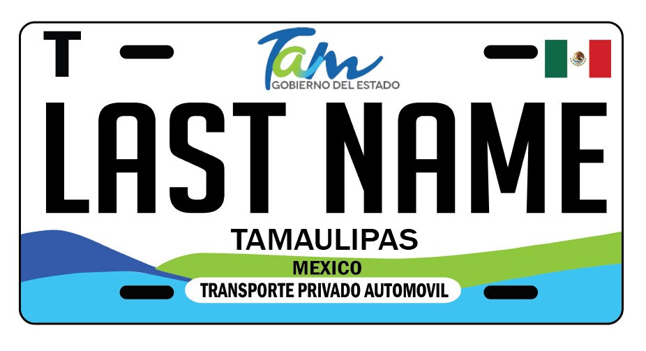 Mexico Mexican Tamaulipas TU TEXTO Novelty Vanity License Plate Tag 6"x12" New 
