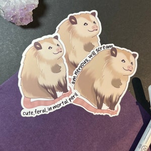 Chonky Possum Sticker | Anxiety Sticker, Screaming sticker, Feral Sticker, Opossum Sticker, Overwhelmed Sticker, Cute Possum Sticker, Funny