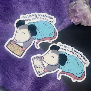 Enrichment Time Possum Sticker | Sticker Book Reading Possum Sticker, Easily Distracted ADHD sticker, Funny Neurodivergent Animal Sticker