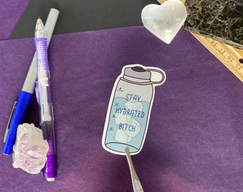 Stay Hydrated Bitch Sticker, Stay Hydrated Babe, Emotional Support Waterbottle Sticker, Passive Aggressive sticker, Drink More Water sticker