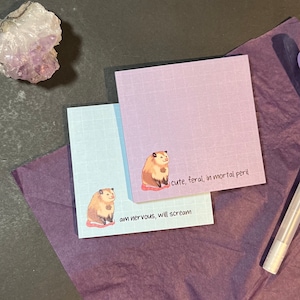 Chonky Possum Sticky Notes |Grid Sticky Notes, Kawaii Sticky Note, Post-it® Note Memo Pad Office Supplies, Feral Animal Sticky Note, Gifts