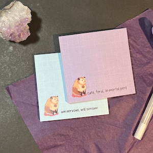 Chonky Possum Sticky Notes |Grid Sticky Notes, Kawaii Sticky Note, Post it Memo Pad Office Supplies, Feral Animal Sticky Note, Gift Under 20