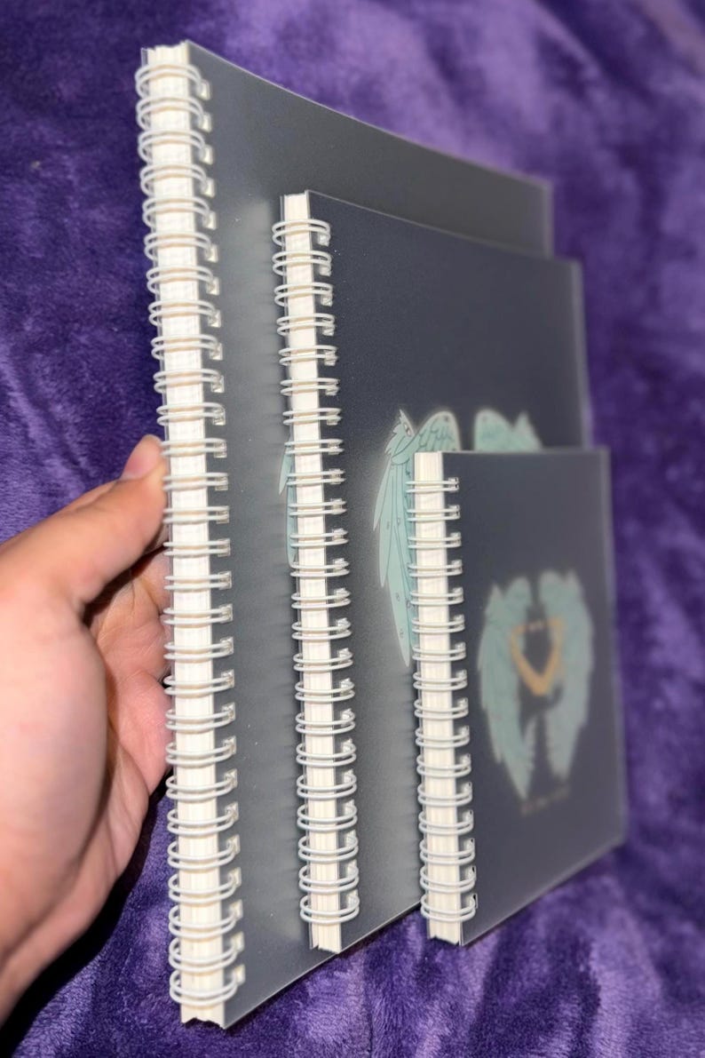 K&ouml;nnte beinhalten: Drei spiralgebundene Notizb&uuml;cher mit durchsichtigen Deckeln. Die Deckel sind dunkelgrau und zeigen ein Design mit wei&szlig;en Fl&uuml;geln. Die Notizb&uuml;cher sind &uuml;bereinander gestapelt.