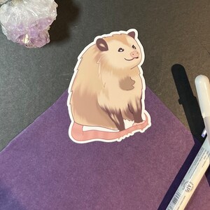 May include: A sticker of a cartoon opossum with a light brown body, a white face, and a pink nose. The opossum is sitting on its haunches with its tail curled around its body.