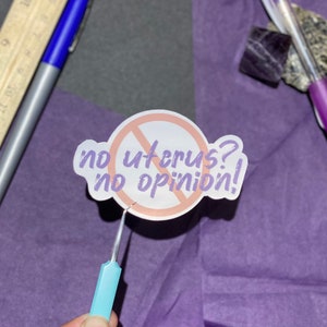 Pro Choice Opinion Sticker | Basic Human Rights Stickers, Womens Rights sticker, Equality Stickers, My body my choice sticker, die cut