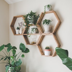 May include: A set of hexagonal wooden shelves with potted plants and a watering can. The shelves are mounted on a white wall.