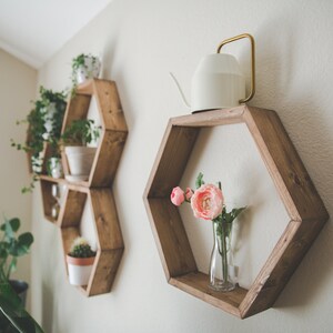 May include: Two hexagonal wooden shelves mounted on a white wall. The shelves are filled with potted plants and a white watering can. The top shelf has a vase with pink flowers.