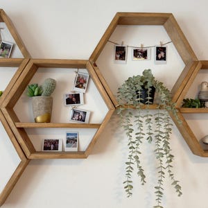 May include: A set of hexagonal wooden shelves with a variety of plants and photos displayed on them. The shelves are arranged in a honeycomb pattern and are mounted on a white wall.