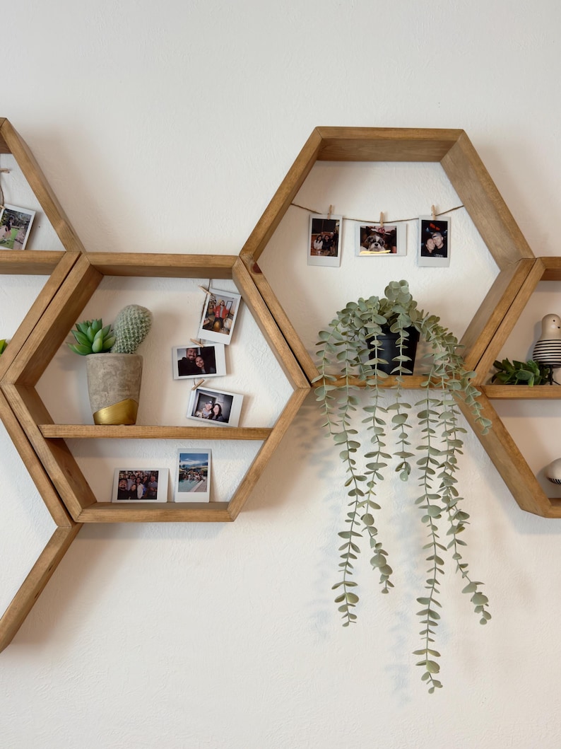 May include: A set of hexagonal wooden shelves with a variety of plants and photos displayed on them. The shelves are arranged in a honeycomb pattern and are mounted on a white wall.
