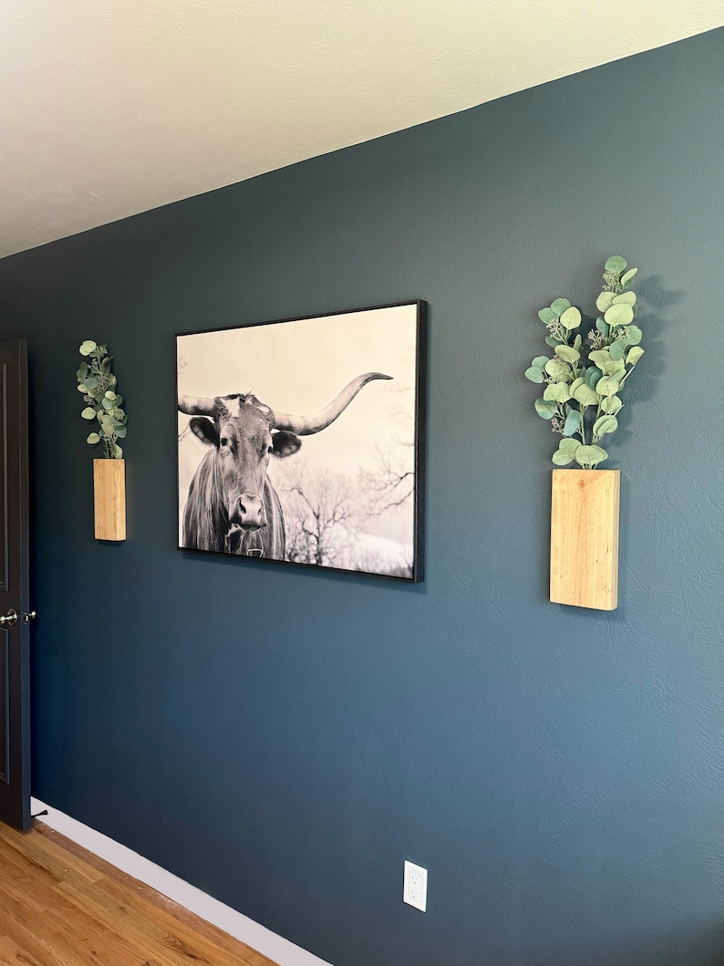 Op de afbeelding: Een donkerblauwe muur met twee houten planken, elk met een pot eucalyptus. Tussen de planken hangt een zwart ingelijst afdruk van een longhorn stier.