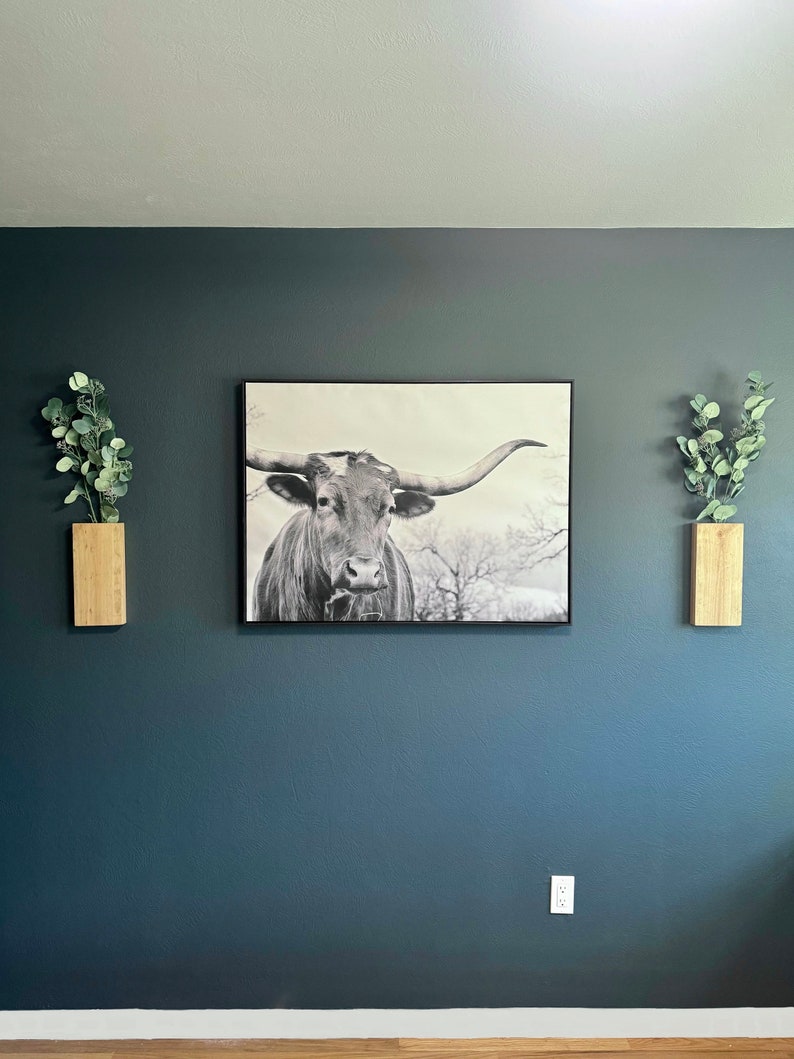 Op de afbeelding: Een zwart-witfoto van een longhorn-stier met grote hoorns, ingelijst en hangend aan een donkerblauwe muur. Twee houten wandplanters met groene planten bevinden zich aan weerszijden van de afbeelding.