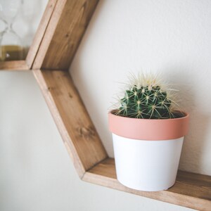 May include: A small cactus plant in a white pot with a pink rim sits on a wooden hexagonal shelf.