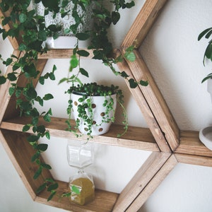 May include: A hexagonal wooden shelf unit with five shelves, each holding a potted plant. The shelves are stained a dark brown color and the unit is mounted on a white wall.