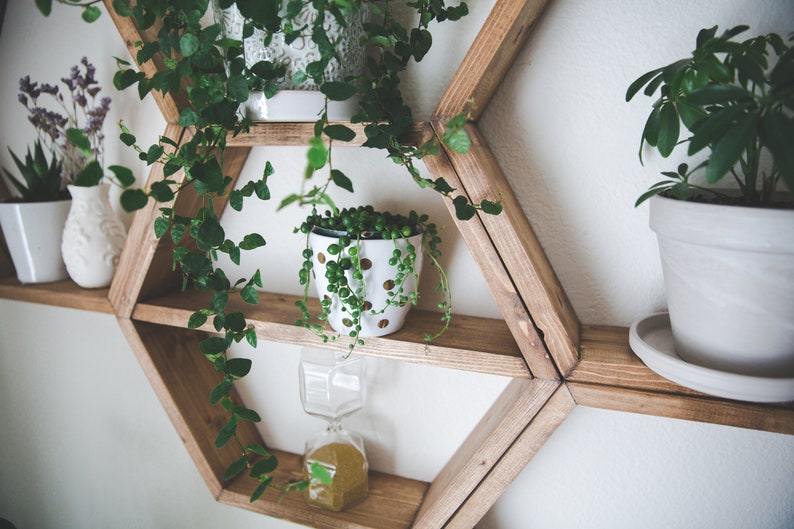 May include: A hexagonal wooden shelf unit with five shelves, each holding a potted plant. The shelves are stained a dark brown color and the unit is mounted on a white wall.