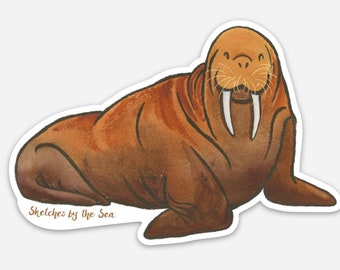 Walrus Sticker