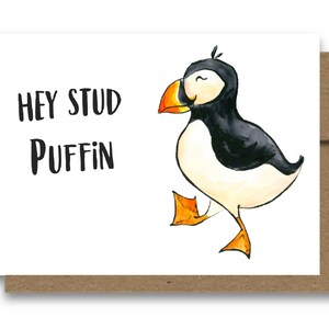 Hey Stud Puffin Card