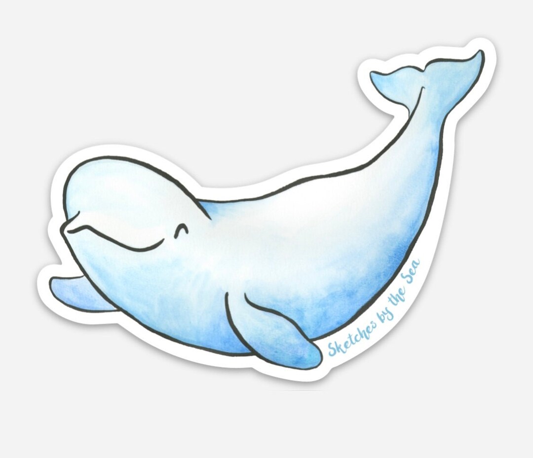 Beluga Whale Sticker - Etsy