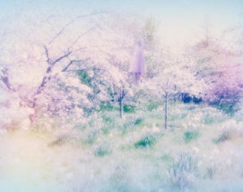 Los siete hechizos de la esperanza — Poesía digital impresa por Alice Saga, Poema sagrado etéreo, Planet Hope Poetry