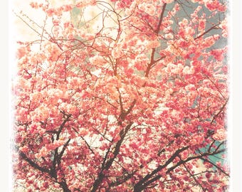 Un hijo peculiar de Dios — Poesía impresa, descarga digital, poesía artística de Alice Saga