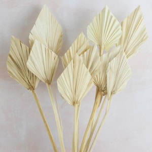 3 lance di palma essiccate naturali, forniture artigianali boho, composizioni floreali fai da te, decorazioni per la casa neutre, decorazioni da parete in foglia di palma, decorazioni in stile pampa
