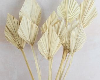 x3 Natural Palm Spear Bunch, 3 Stems, Dried Flower Cake Topper, Cake decoration dried palm, dried flower party decor, rustic natural palm