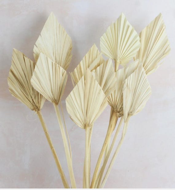 x3 Natural Palm Spear Bunch, 3 Stems, Dried Flower Cake Topper, Cake decoration dried palm, dried flower party decor, rustic natural palm