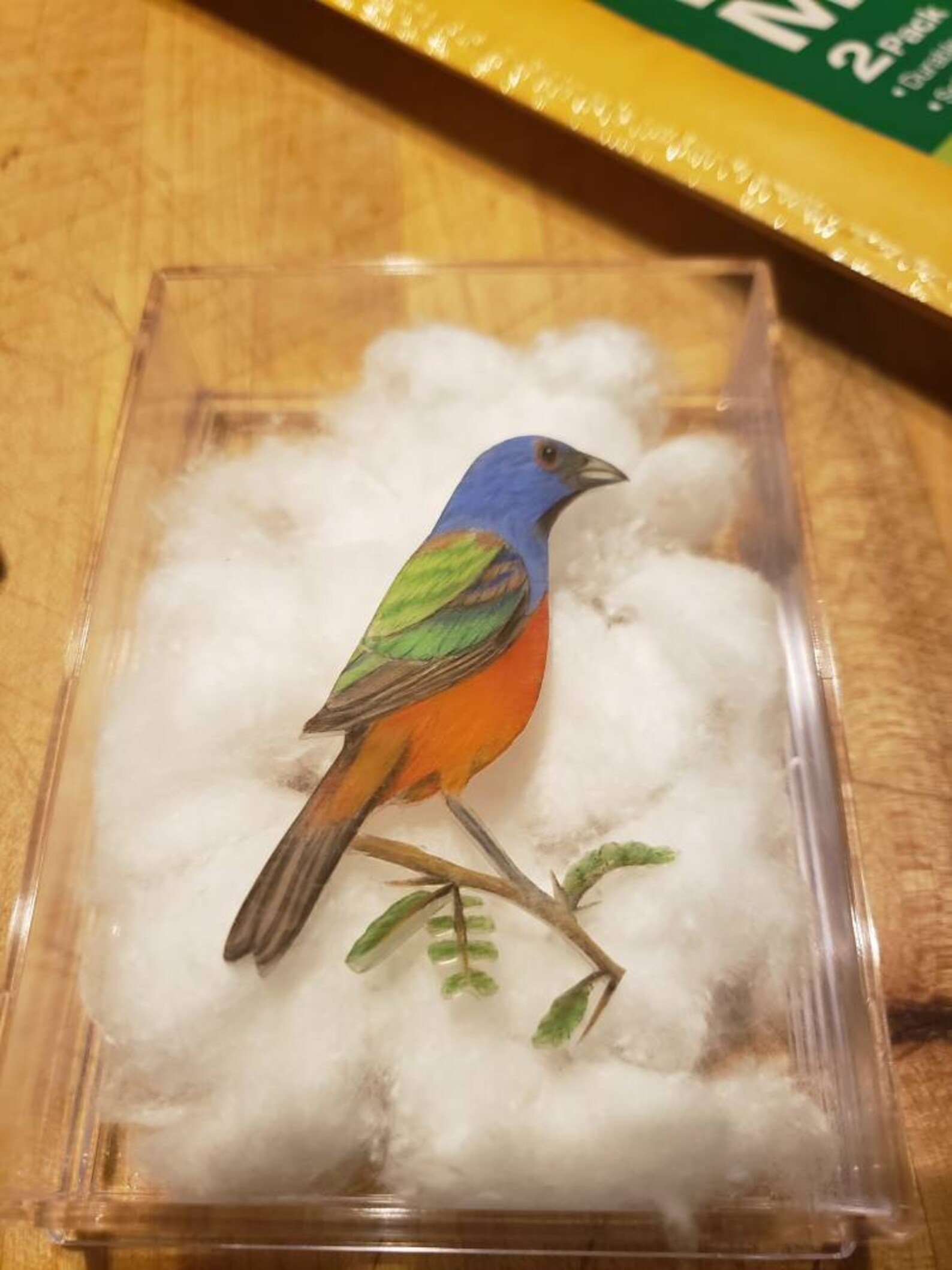 Painted Bunting Etsy