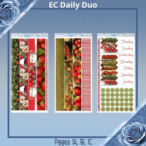 Daily Duo - Berry Bliss Planner Sticker Kit