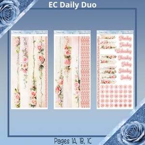 Duo quotidien - Jolie rose