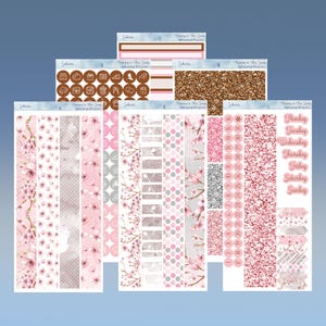 Duo quotidien - Sakura
