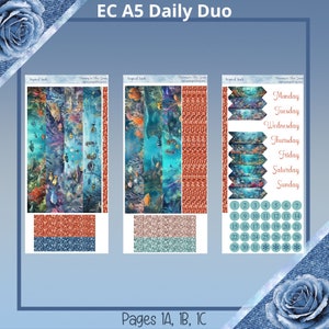 A5, kuzyni, Daily Petite- Daily Duo - zestaw naklejek do planera zbiorników tropikalnych