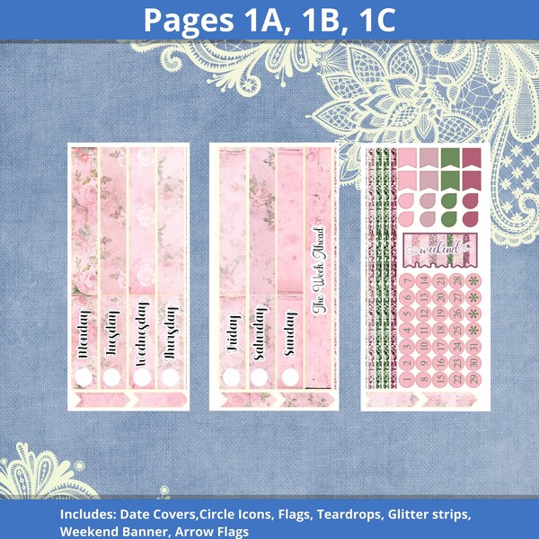 Daily Duo- Shabby Chic Pink planner sticker kit (A La Carte)