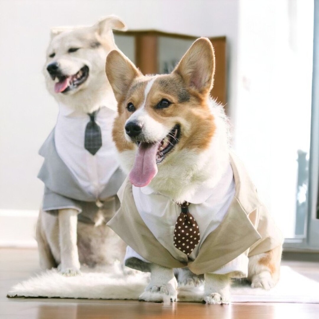 Custom Dog Tuxedo