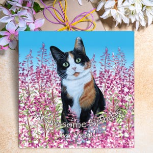 carte d'anniversaire de chat calicot | Carte d'anniversaire de chat mignon | carte d'anniversaire de chat | carte postale avec un chat | carte du chat | Carte chat tricolore