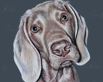 Weimaraner Dog Art Print: Pastel Drawing (Digital Download)