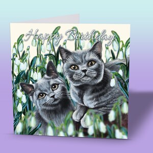 Carte chat bleu britannique - carte d'anniversaire chat - chat British Shorthair - British Shorthair - carte d'anniversaire chats - chats British Shorthair