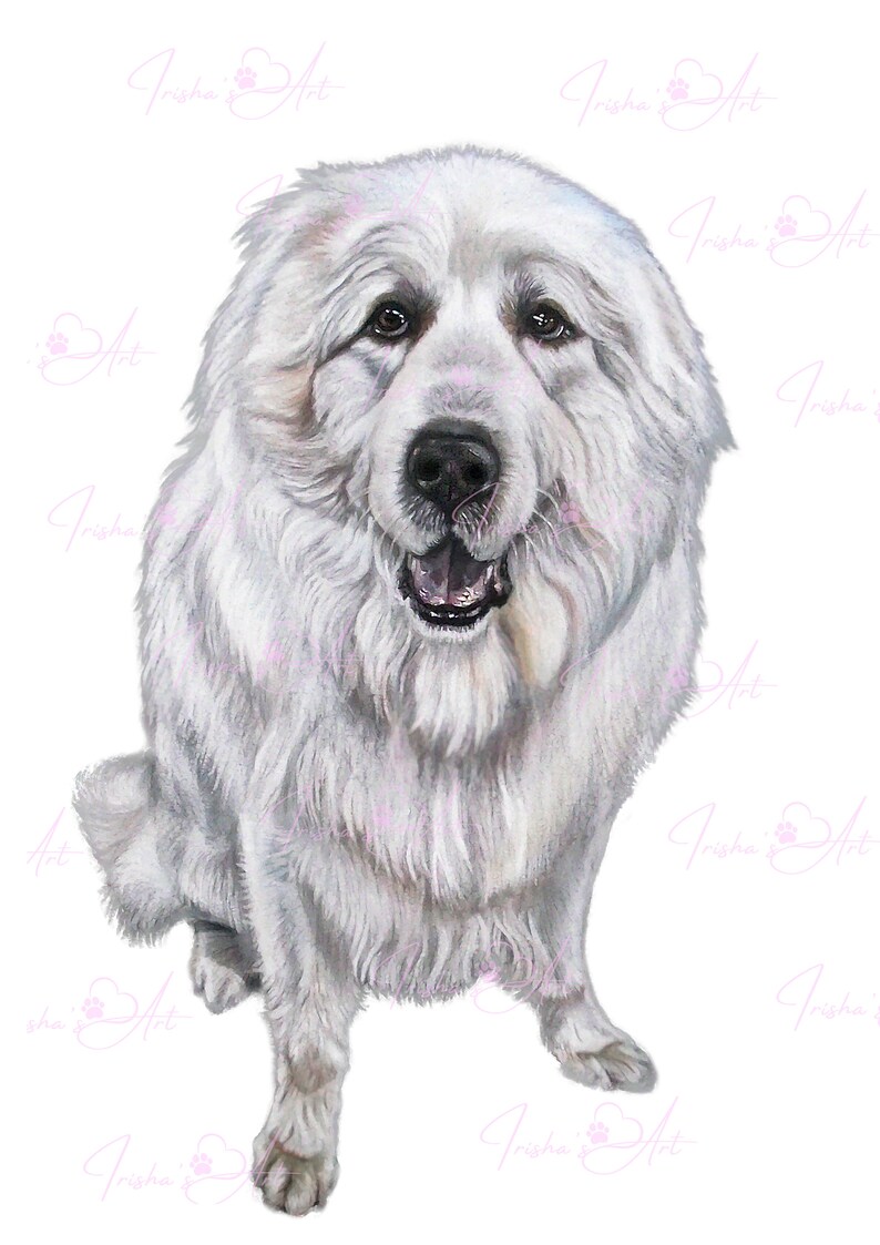 Great Pyrenees Art Wall Decor Instant Download Pyrenean Mountain Dog ...