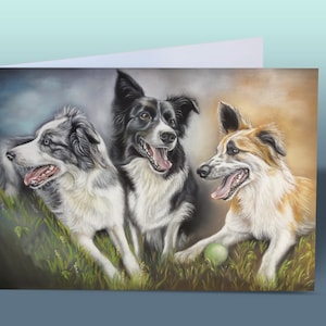 Grußkarte Border Collies | Karte Border Collies | Border-Collie-Geburtstagskarte | Süße Hundekarte | Karte vom Hund | Geburtstagskarte Hunde
