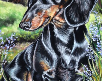 Framed Dachshund Pastel Drawing: Original Wiener Dog Wall Art