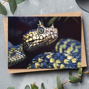 Carte de voeux serpent - carte faune - carte vipère à cornes - carte serpent - carte faune - carte de voeux serpent - cadeaux pour amoureux des serpents