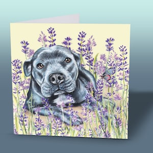 Biglietto d'auguri per cani - Biglietto d'auguri per cani - Regali per cani - Staffordshire Bull Terrier - Cane Staffordshire - Staffy - Biglietto d'auguri per cani - Biglietto d'auguri per cani