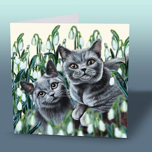 Cartes de vœux chat bleu britannique | Cartes de voeux pour chats British Shorthair | de voeux chats | Cartes Chat | Carte Chat gris