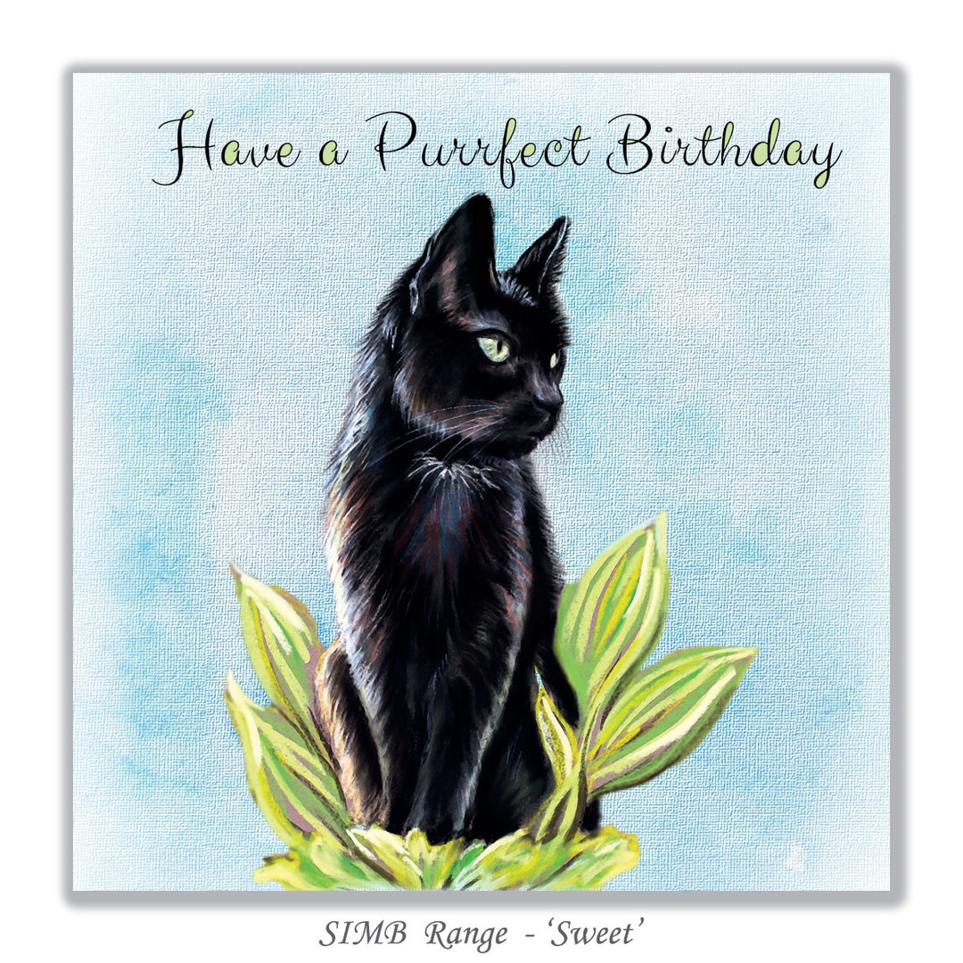 Cartolina D'auguri Di Compleanno Con Il Gatto Nero Sveglio