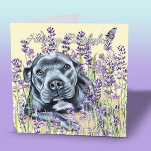 Staffy verjaardagskaart - Staffy geschenken - Staffy Card - Staffordshire Bull Terrier - Staffordshire Dogs - Hondenkaart - Happy Birthday Dog Card