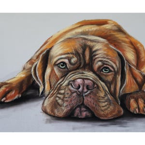 Commission Pet Portrait | Custom Dog Portrait | Custom Pet Portrait | Pet Painting from Photo | Pastel Pet Portrait | Dog Lover Gift | Pets