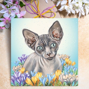 Carte de voeux chat Sphynx - carte chat Sphynx - carte chat - carte d'anniversaire chat Sphynx - cadeaux chat Sphynx - carte avec chat - chat Sphynx