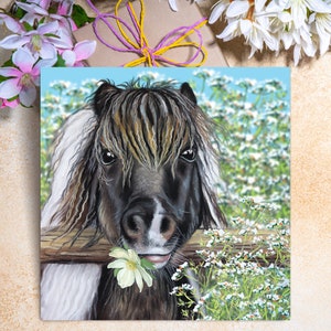 Shetland Pony Greeting Card | Pony Greeting Card | Pony Birthday Card | Cute Birthday Card | Farm Animals Card |  Horse Birthday Card