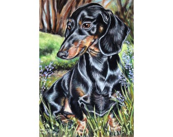 May include: A painting of a black and tan Dachshund dog in a field of grass and purple flowers. The dog has a long body, short legs, and floppy ears. The background features trees with a soft, blurred effect, typical of a pastel painting.